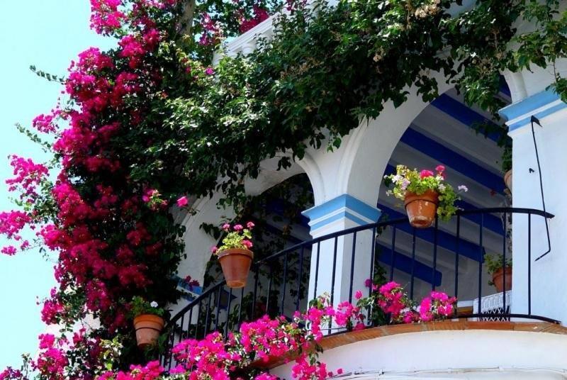 Pension El Torreon 莫哈卡尔 外观 照片